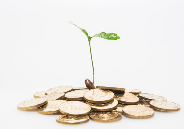 Investor Readiness Coins with seedling